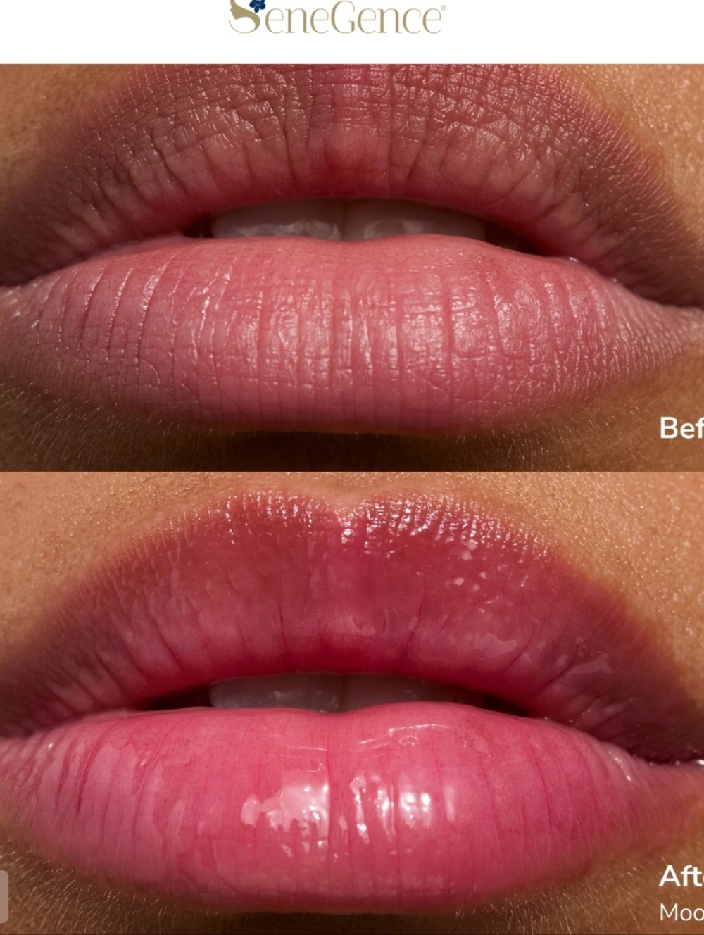 SeneGence Lipsence Glowify pH Lip Oil Tint In Mood Ring - Picture 5 of 8
